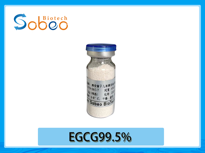 EGCG 98% 99.5%表沒(méi)食子兒茶素沒(méi)食子酸酯 另有EC EGC 茶黃素